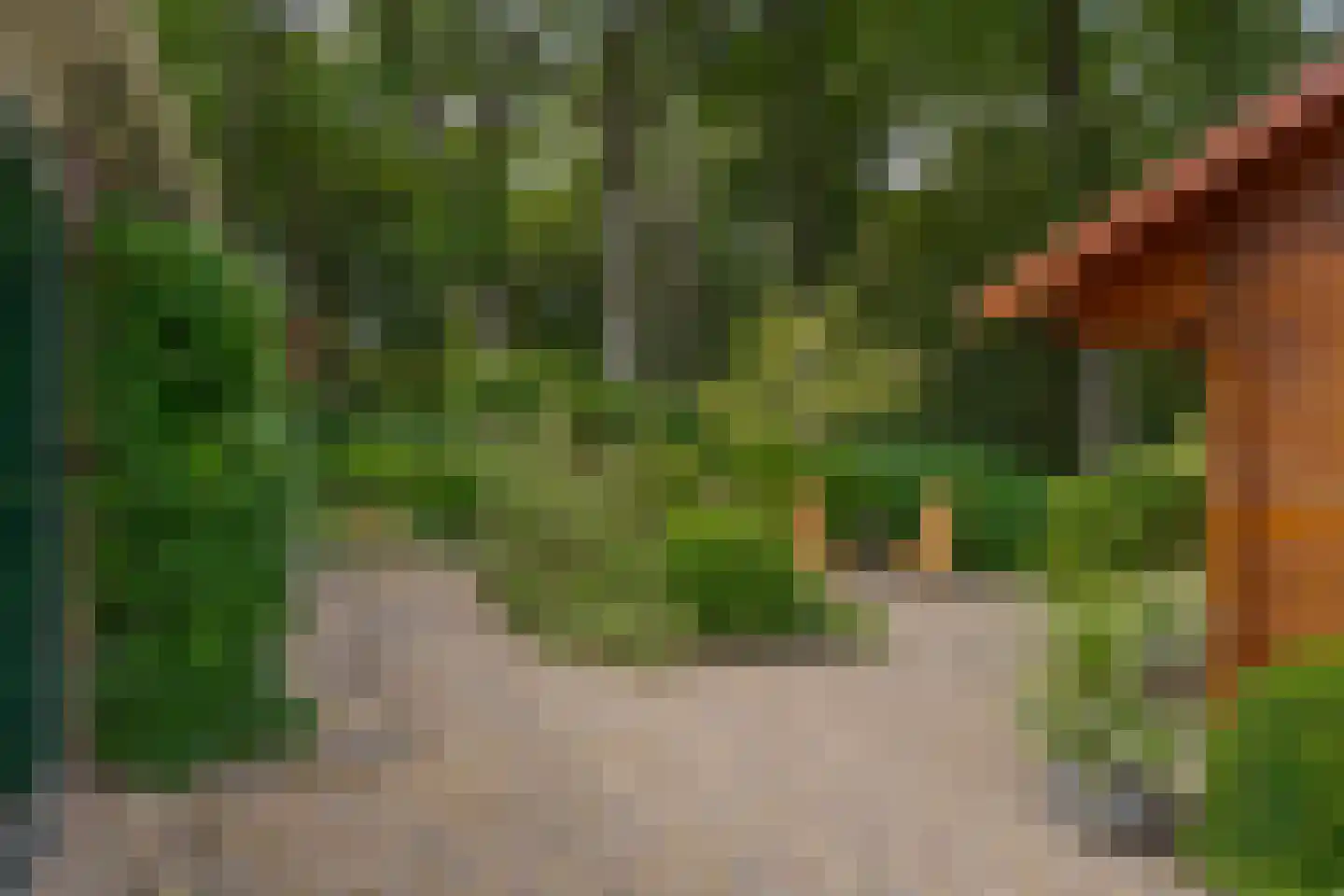 Zandhoeklaan 29 Westerbork thumbnail 55