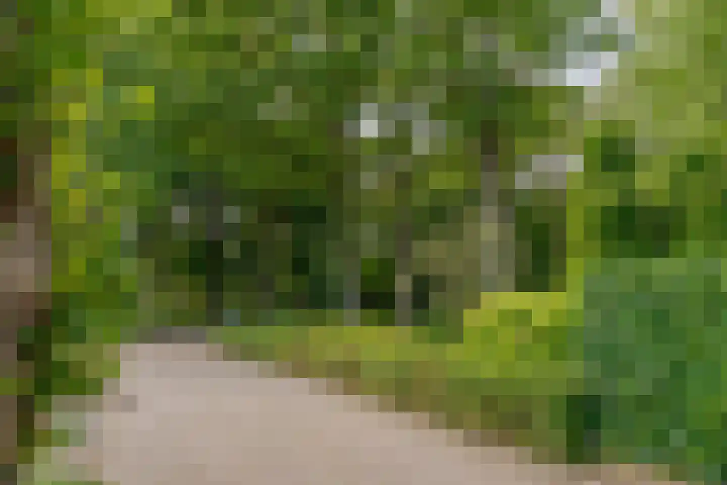 Zandhoeklaan 29 Westerbork thumbnail 57