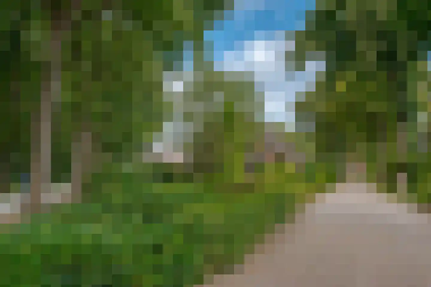 Zandhoeklaan 29 Westerbork thumbnail 58