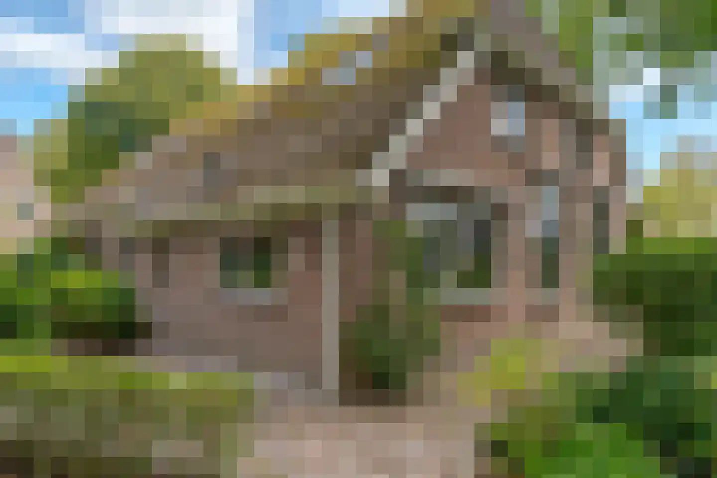 Zandhoeklaan 29 Westerbork thumbnail 6