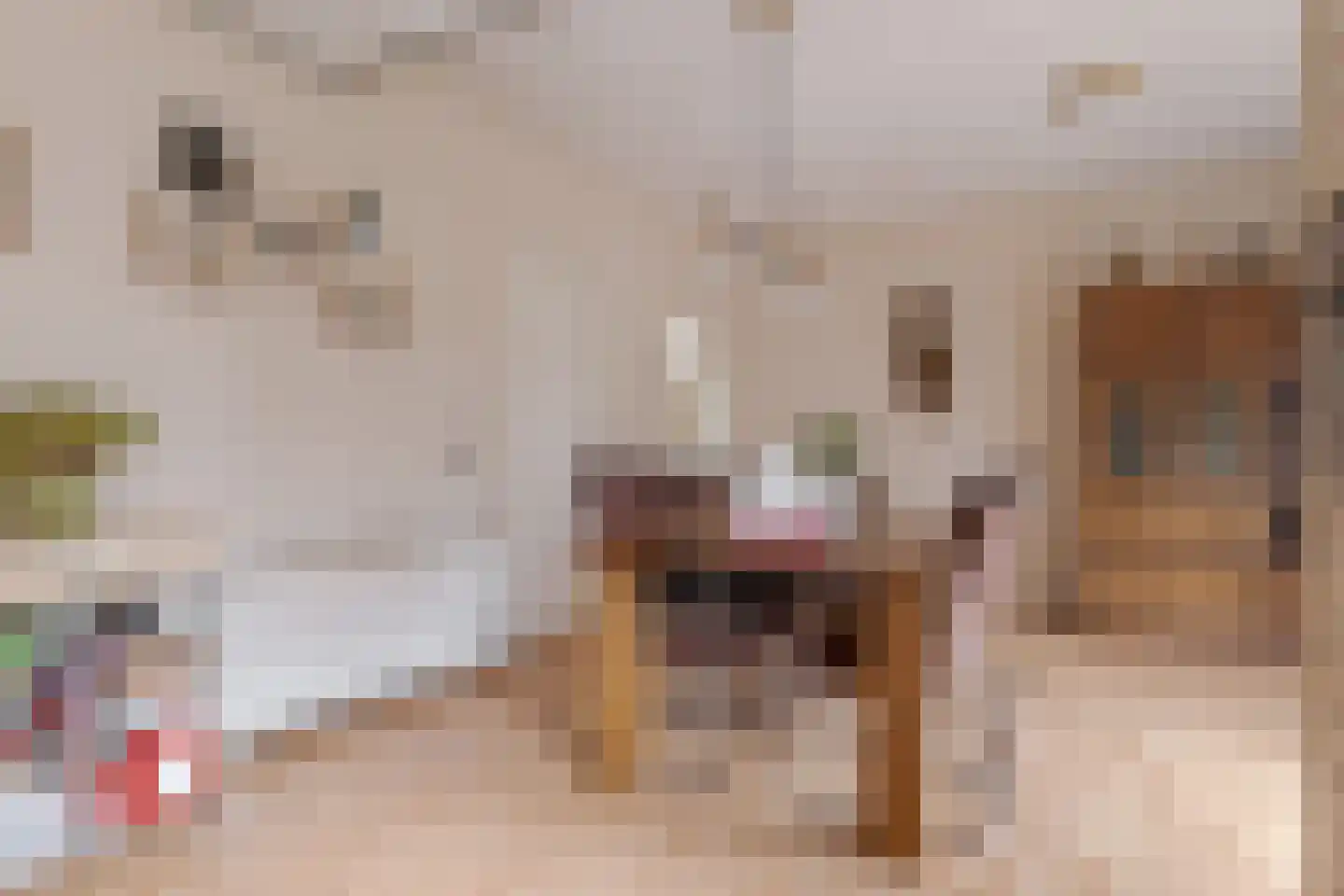 Zandhoeklaan 4 Westerbork thumbnail 18