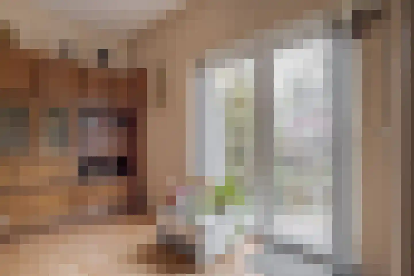 Zandhoeklaan 4 Westerbork thumbnail 20