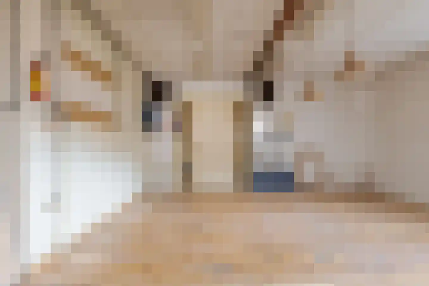 Zandhoeklaan 4 Westerbork thumbnail 26