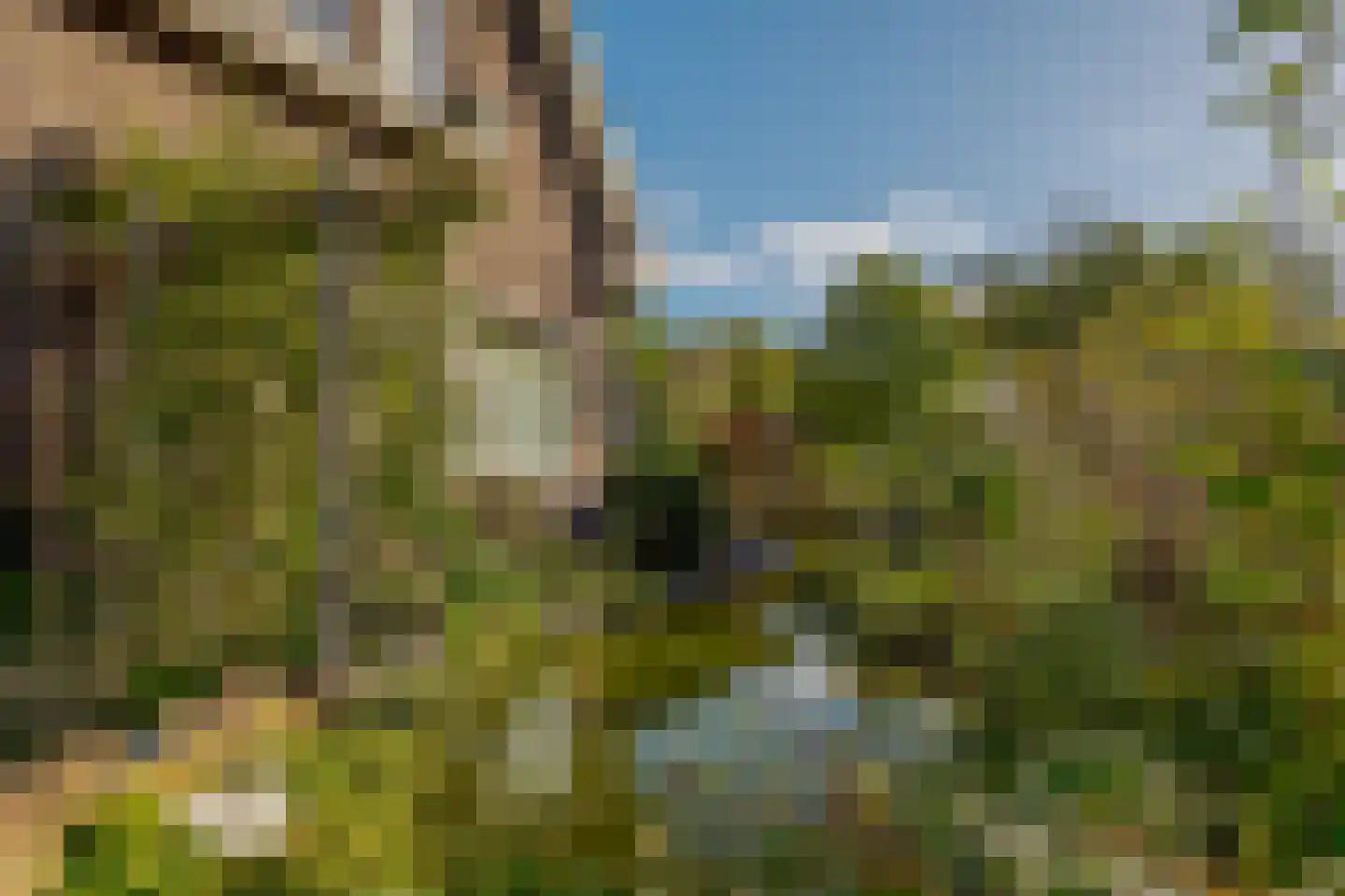 Zandhoeklaan 4 Westerbork thumbnail 4