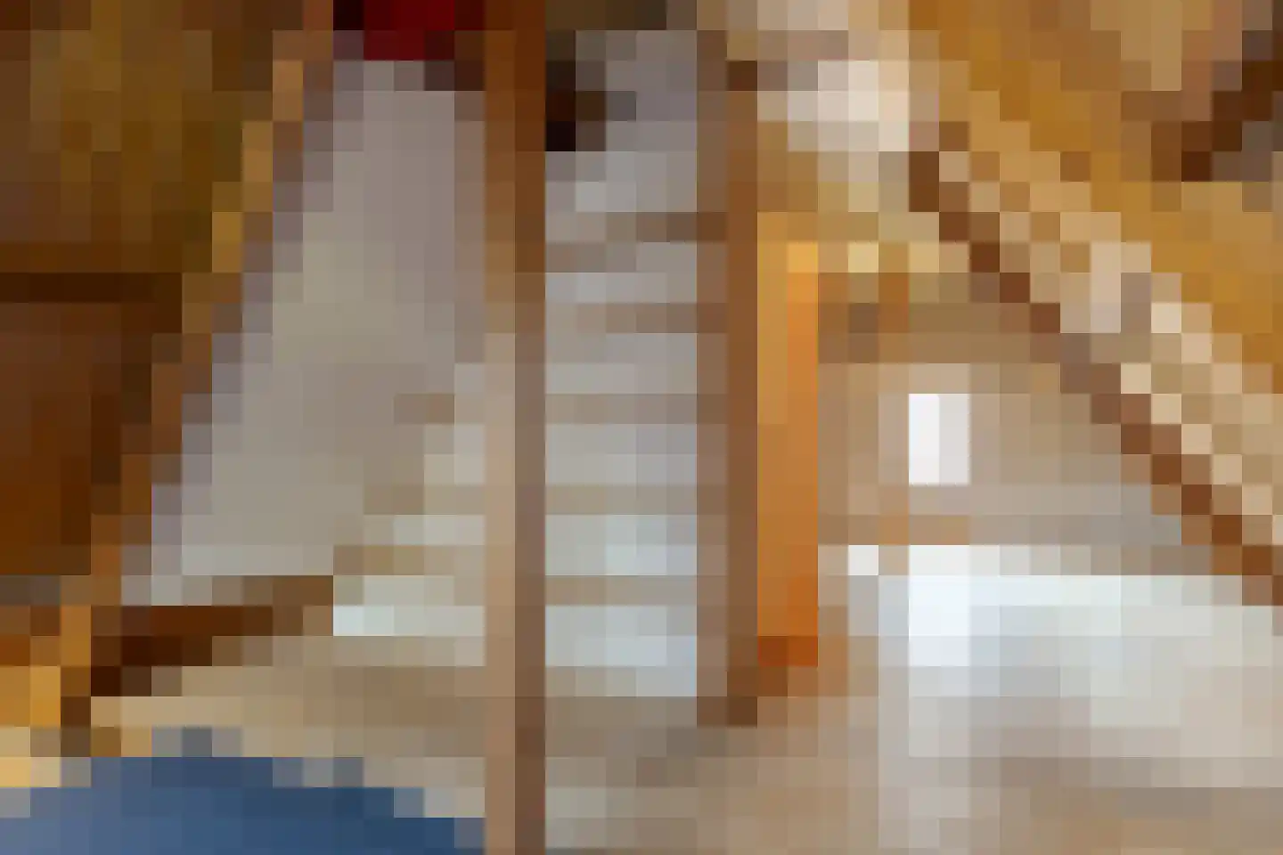 Zandhoeklaan 4 Westerbork thumbnail 44