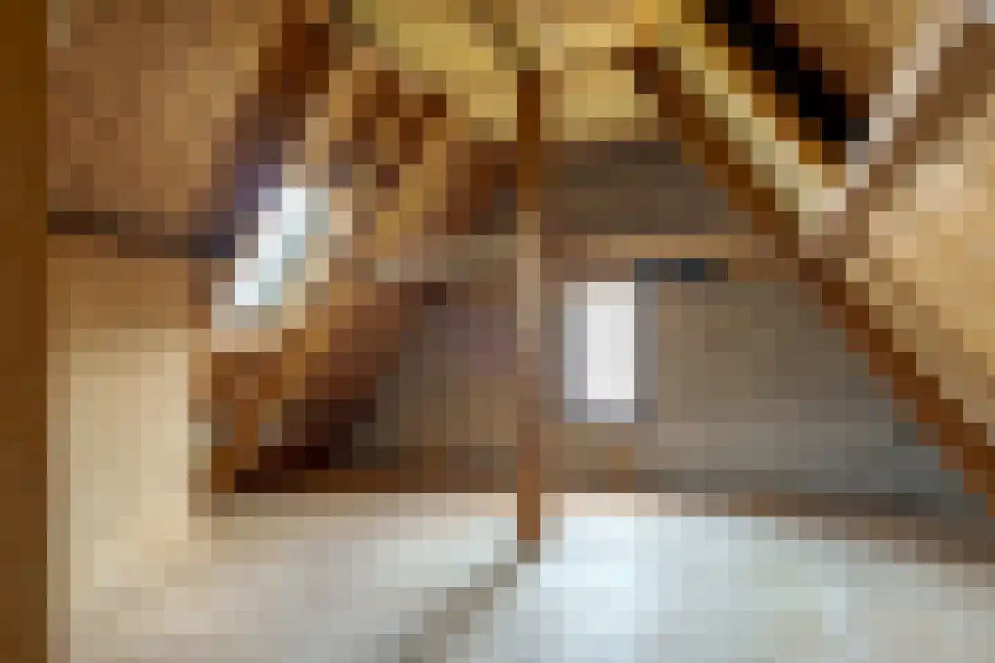 Zandhoeklaan 4 Westerbork thumbnail 45