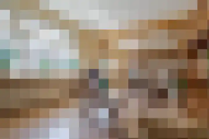 Zandhoeklaan 6 Westerbork thumbnail 16