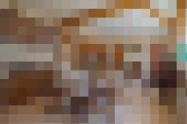 Zandhoeklaan 6 Westerbork thumbnail 18