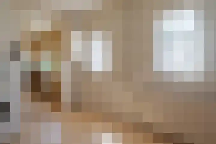 Zandhoeklaan 6 Westerbork thumbnail 21