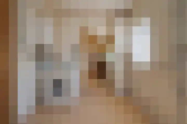 Zandhoeklaan 6 Westerbork thumbnail 23