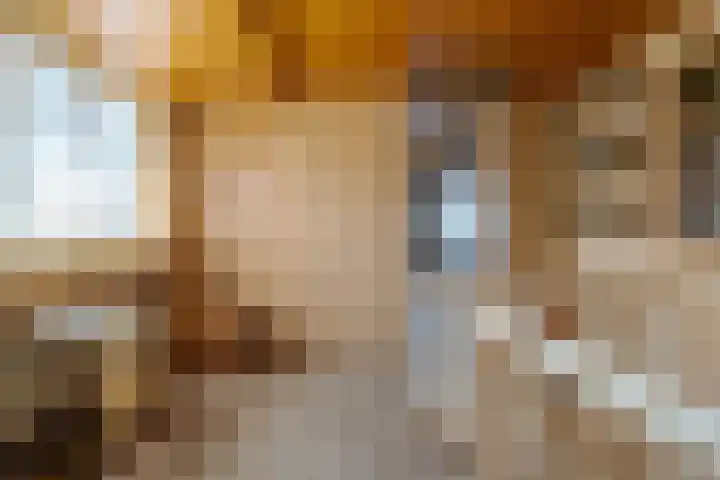 Zandhoeklaan 6 Westerbork thumbnail 34