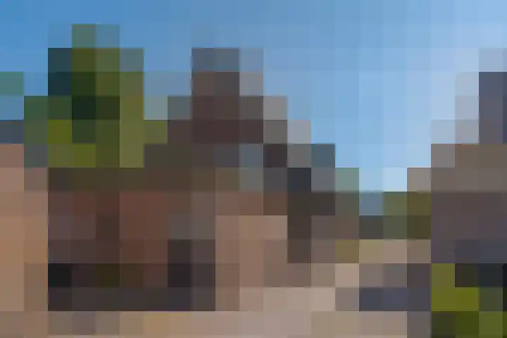 Zandhoeklaan 6 Westerbork thumbnail 38