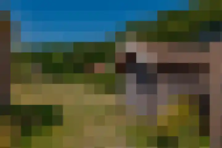 Zandhoeklaan 6 Westerbork thumbnail 44