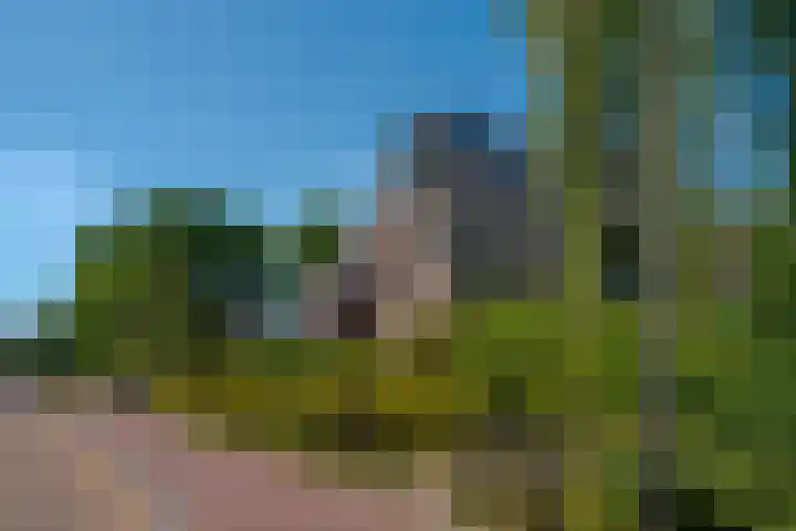 Zandhoeklaan 6 Westerbork thumbnail 5