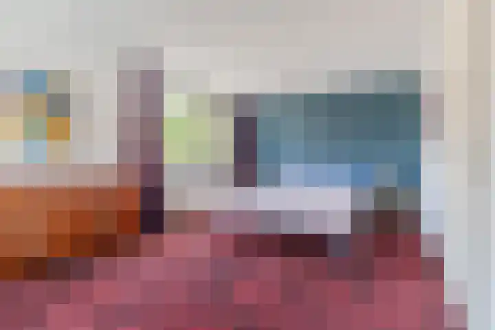 Zandhoen 15 Eindhoven thumbnail 20