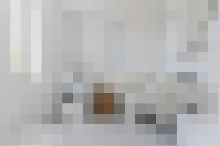 Zandhoen 15 Eindhoven thumbnail 34