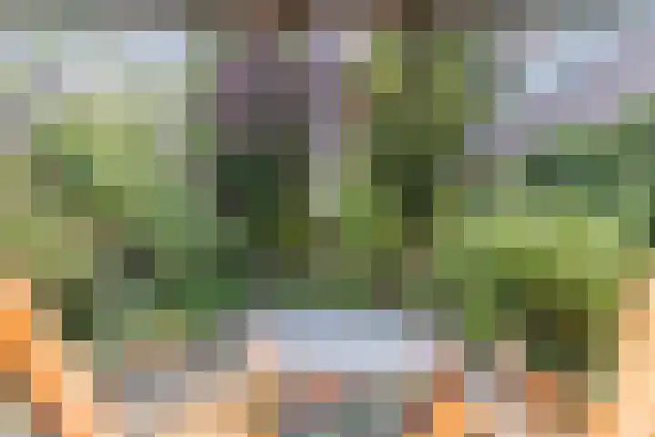 Zandhoen 15 Eindhoven thumbnail 37