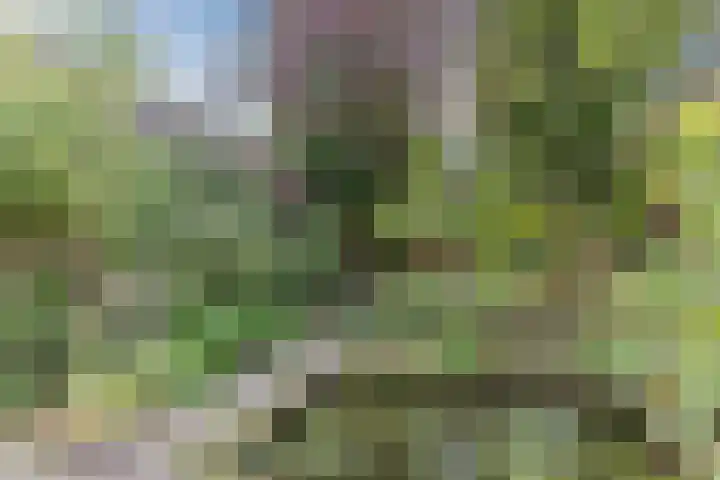 Zandhoen 15 Eindhoven thumbnail 38