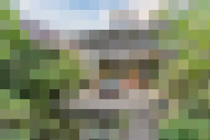 Zandhoen 15 Eindhoven thumbnail 39