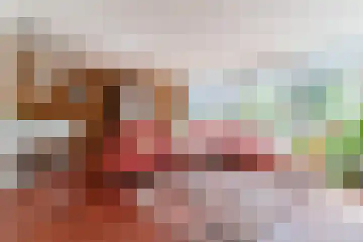 Zandhoen 15 Eindhoven thumbnail 4