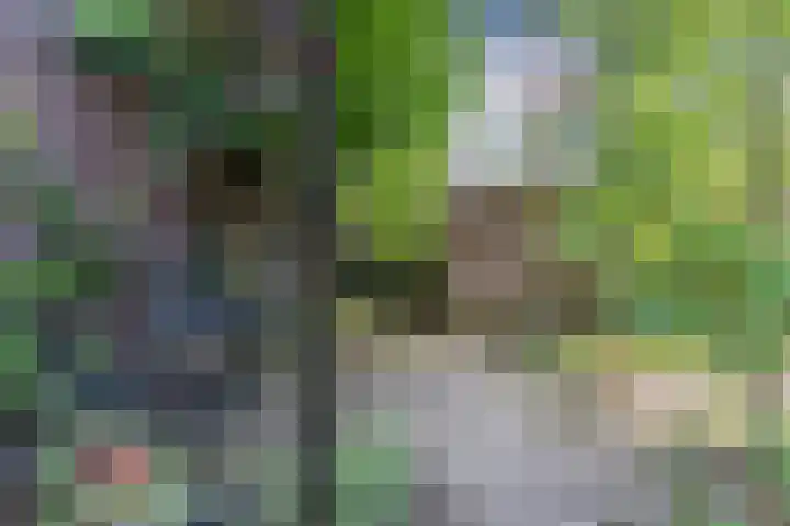Zandhoen 15 Eindhoven thumbnail 40
