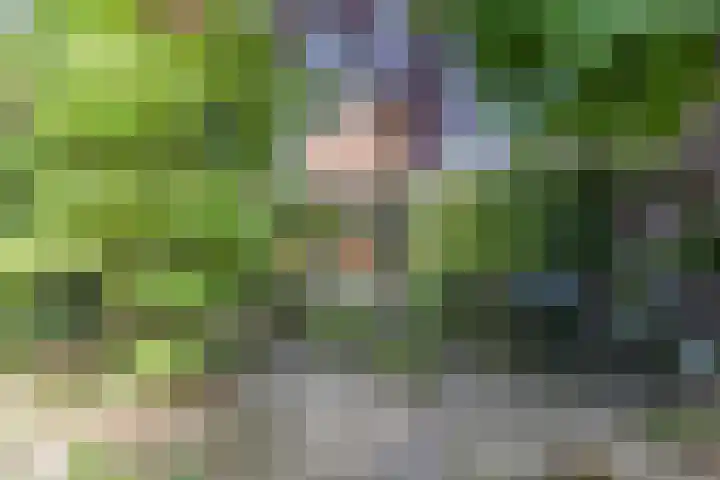 Zandhoen 15 Eindhoven thumbnail 41