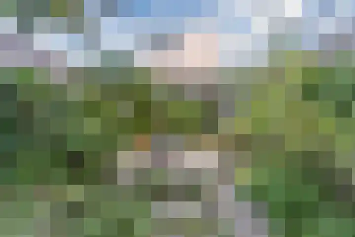 Zandhoen 15 Eindhoven thumbnail 42