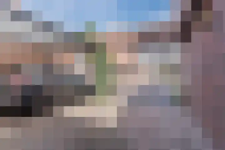 Zandhoen 15 Eindhoven thumbnail 44