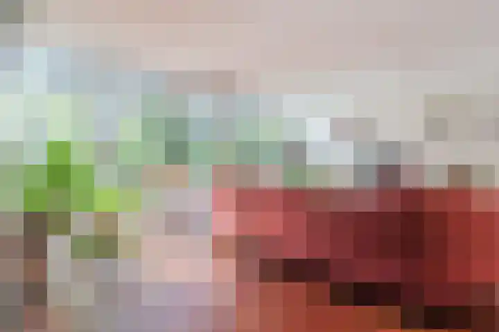 Zandhoen 15 Eindhoven thumbnail 5