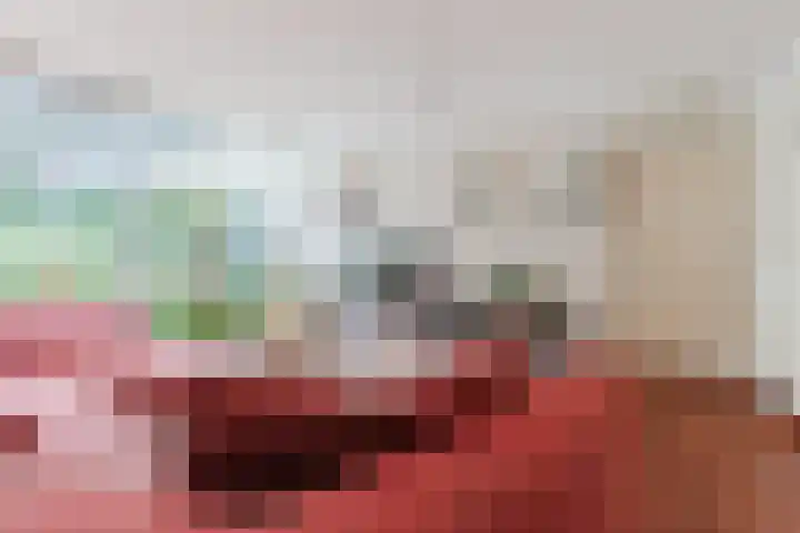 Zandhoen 15 Eindhoven thumbnail 6
