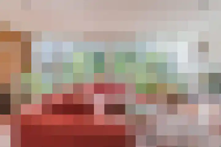 Zandhoen 15 Eindhoven thumbnail 8