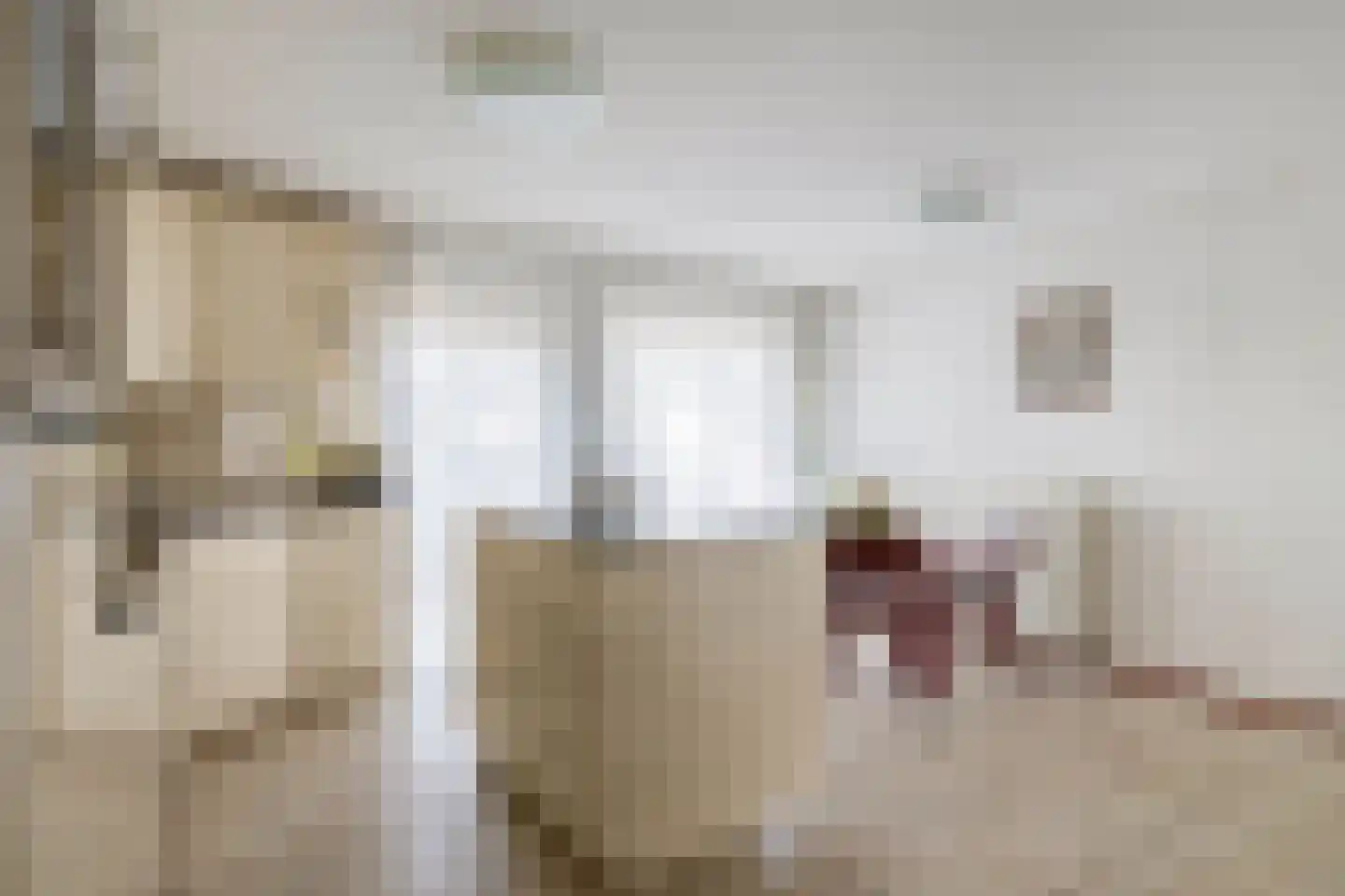 Zandhoen 34 Eindhoven thumbnail 16