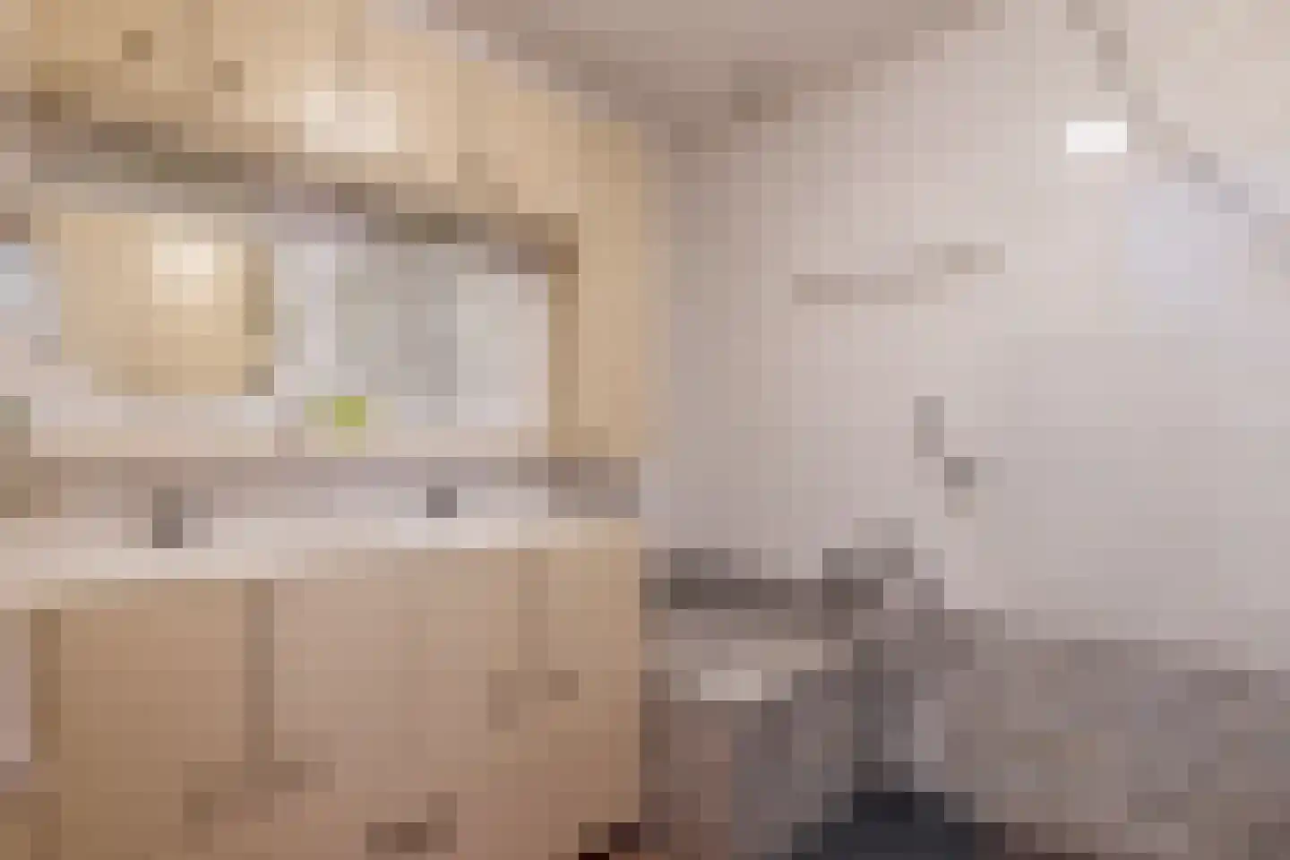 Zandhoen 34 Eindhoven thumbnail 28