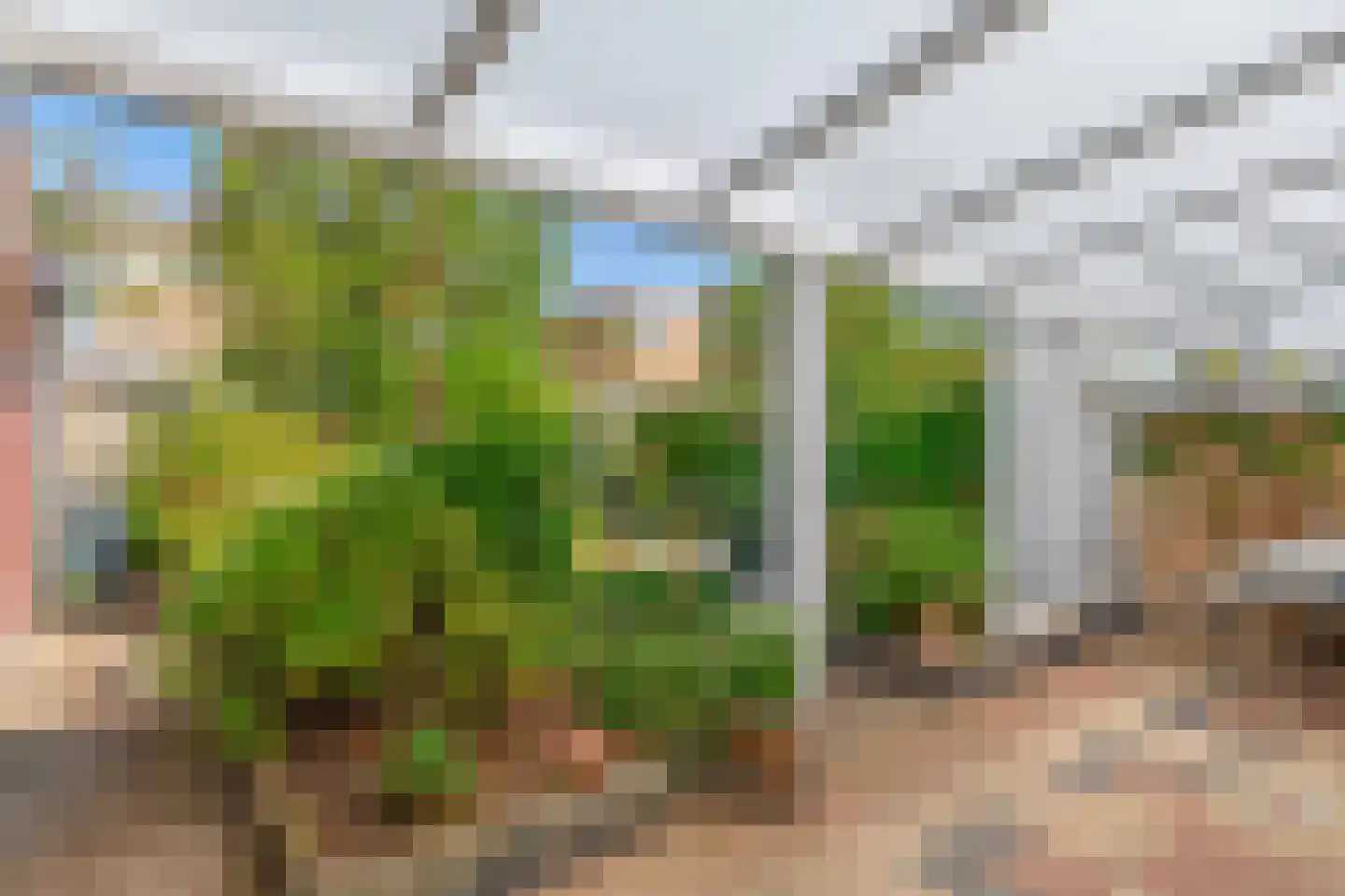 Zandhoen 34 Eindhoven thumbnail 32
