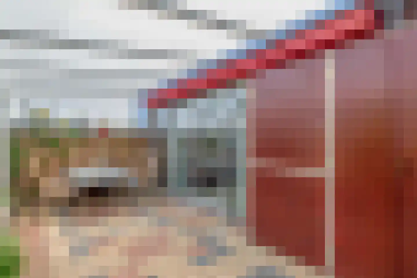 Zandhoen 34 Eindhoven thumbnail 33
