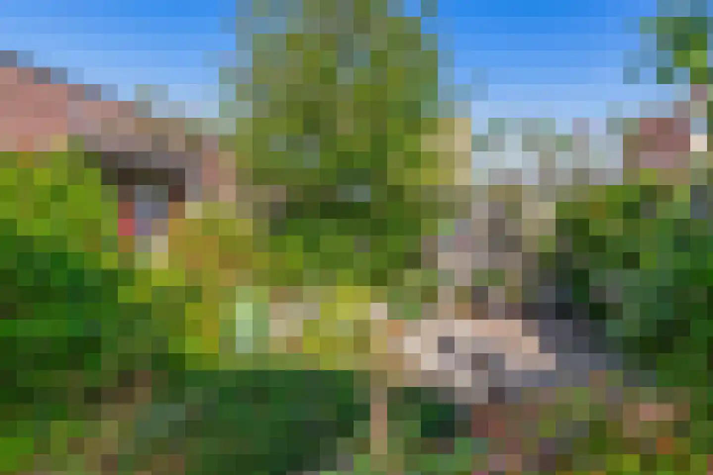 Zandhoen 34 Eindhoven thumbnail 35