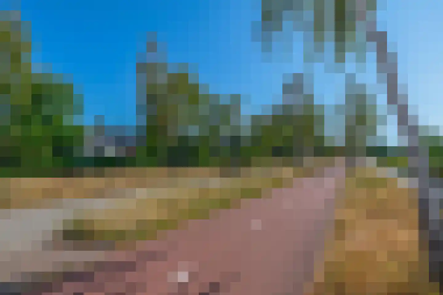 Zandhoen 34 Eindhoven thumbnail 41