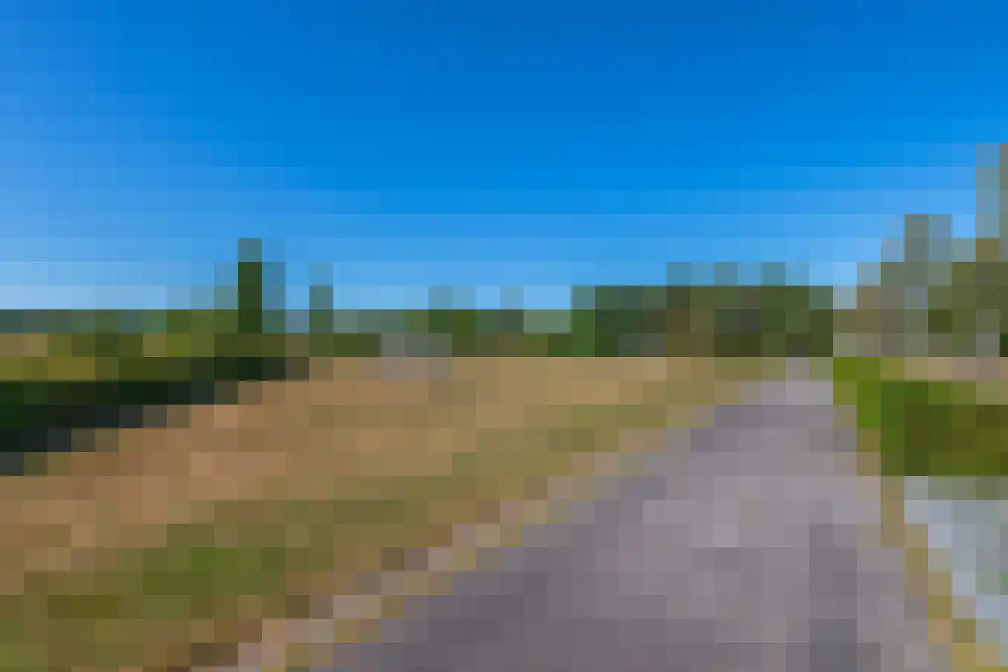 Zandhoen 34 Eindhoven thumbnail 42