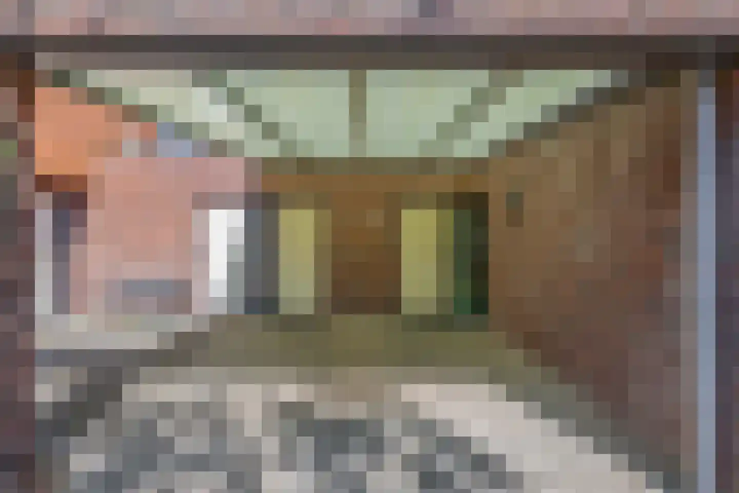 Zandhoen 34 Eindhoven thumbnail 6
