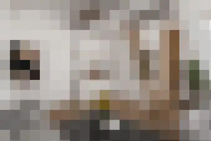Zandhofsestraat 140 Utrecht thumbnail 33