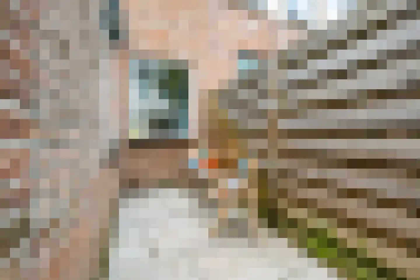 Zandhofsestraat 166 Utrecht thumbnail 5