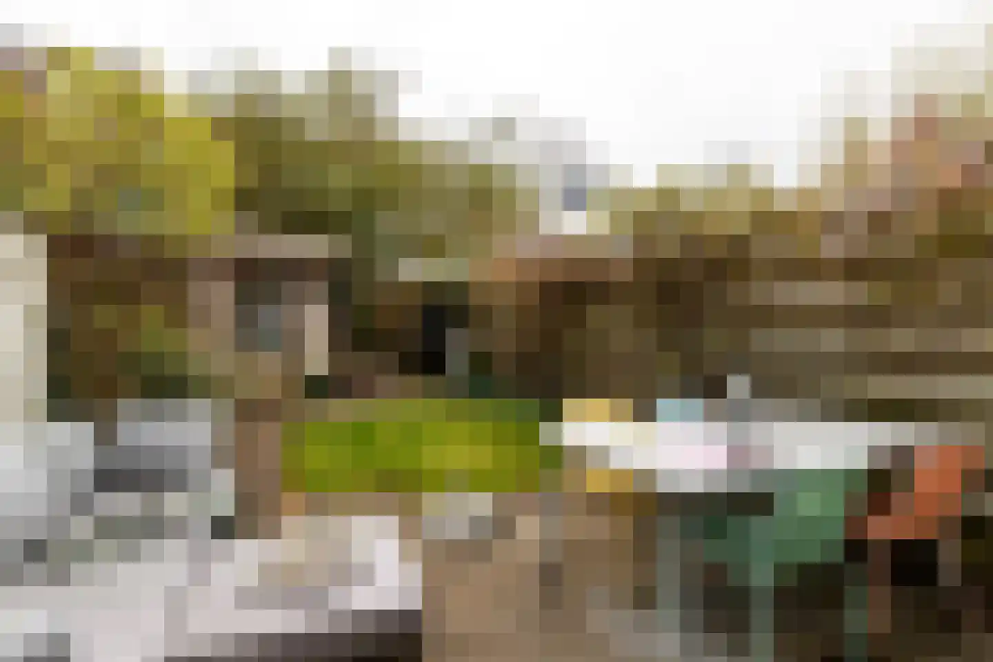 Zandhofsestraat 75 Utrecht thumbnail 14