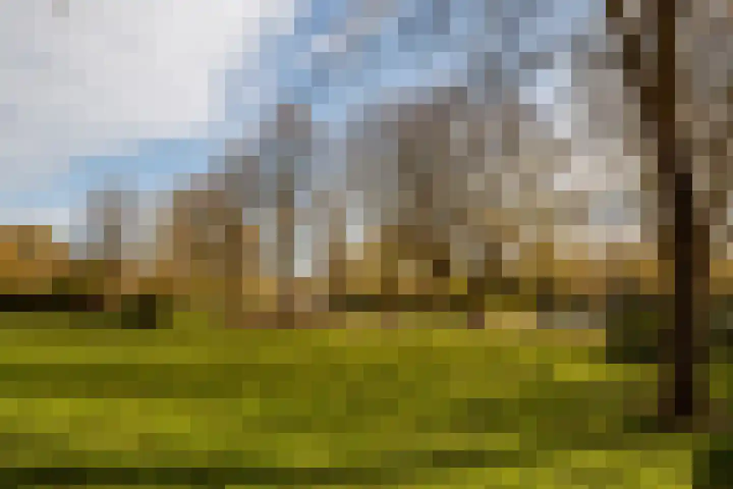 Zandhofsestraat 75 Utrecht thumbnail 35