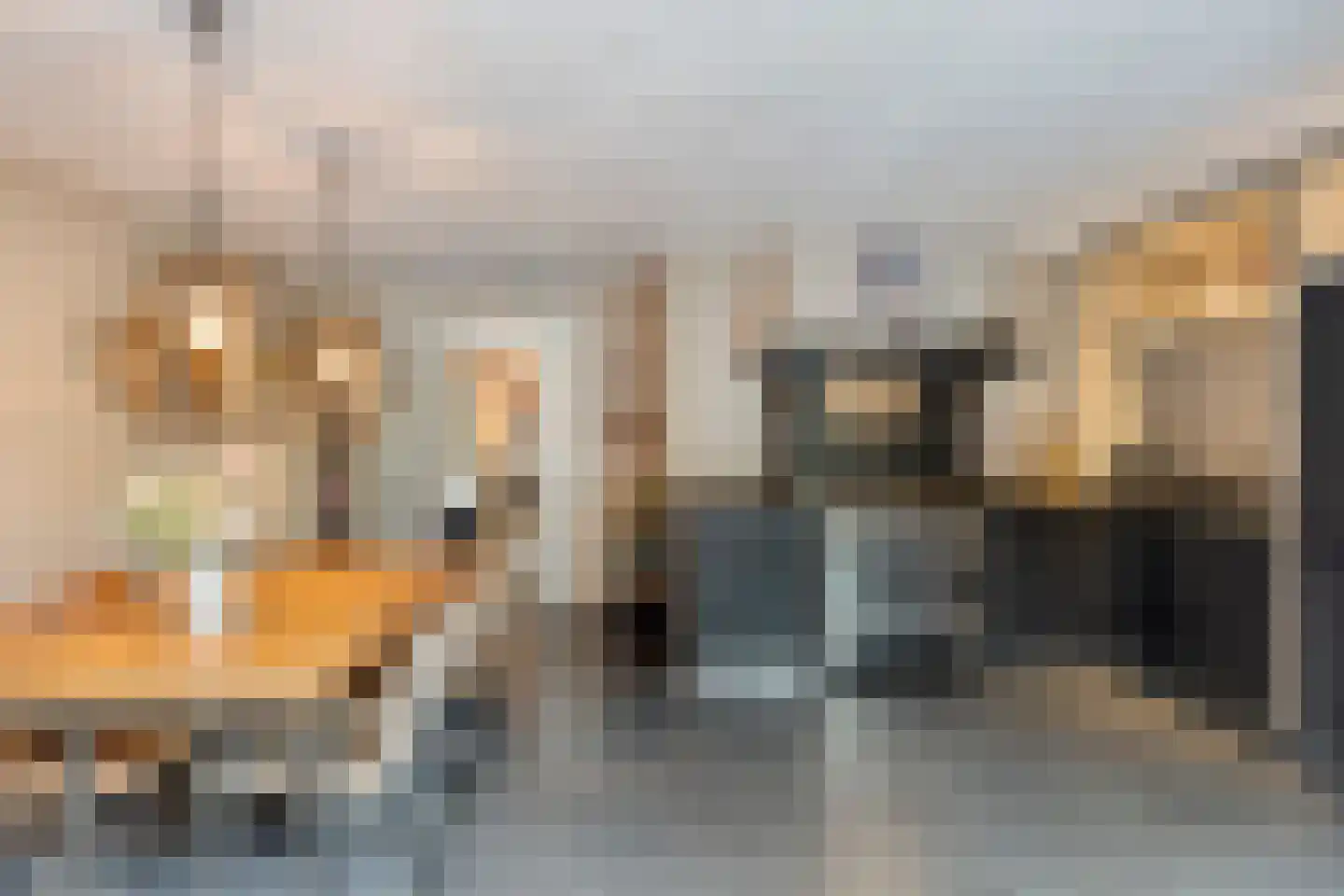 Zandhorst 11 Enter thumbnail 11