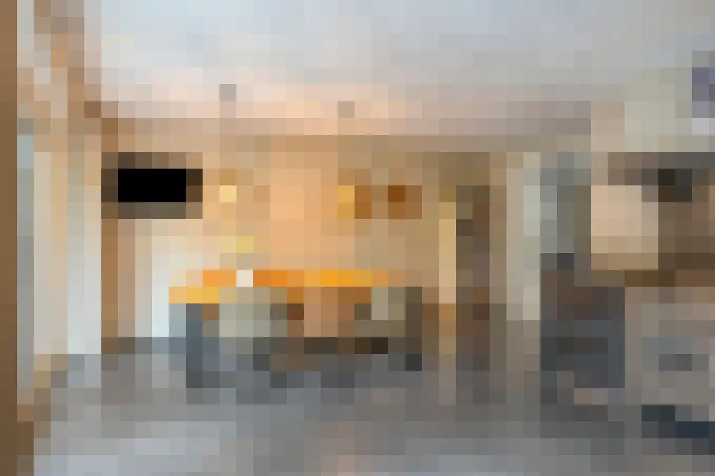 Zandhorst 11 Enter thumbnail 14