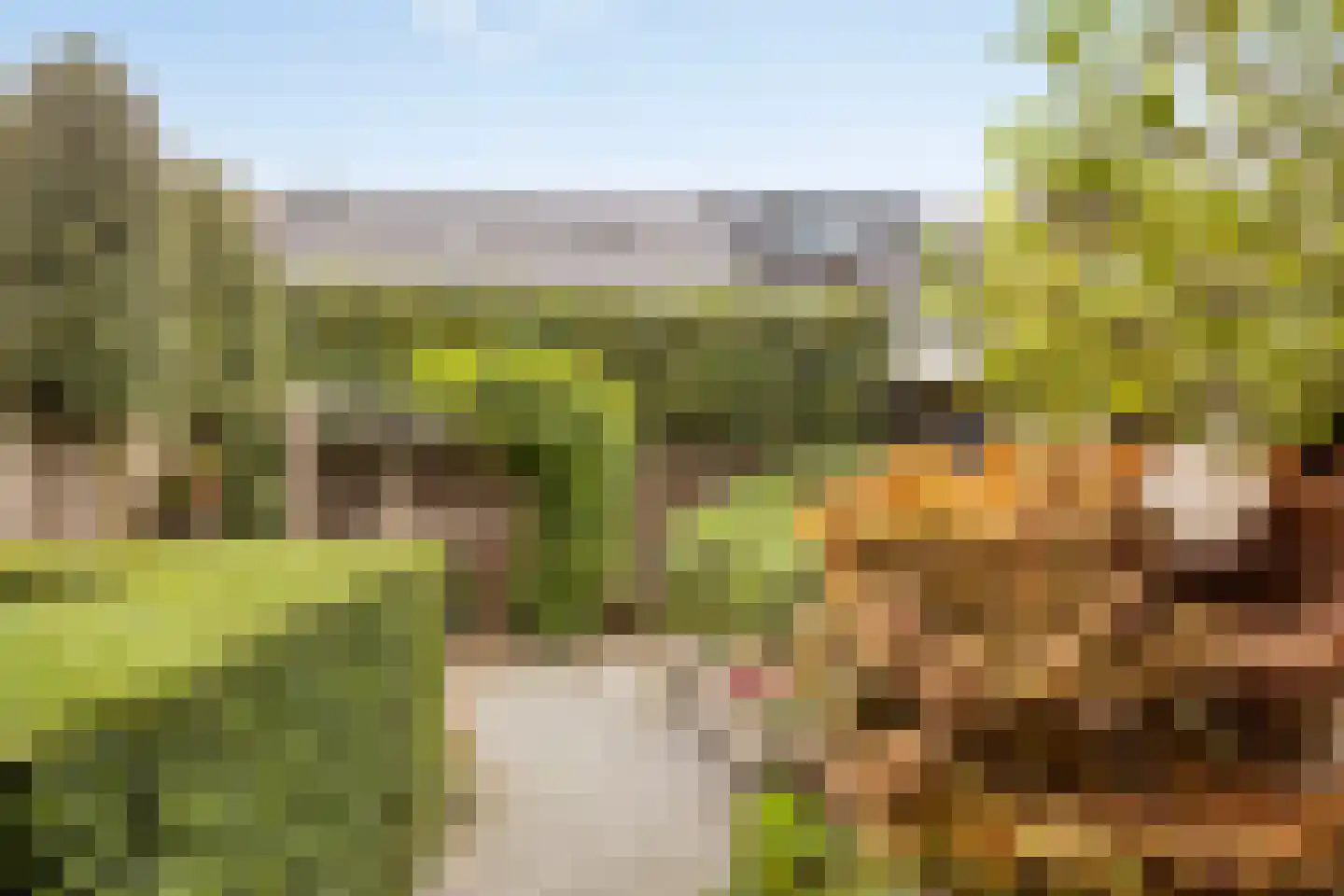 Zandhorst 11 Enter thumbnail 30