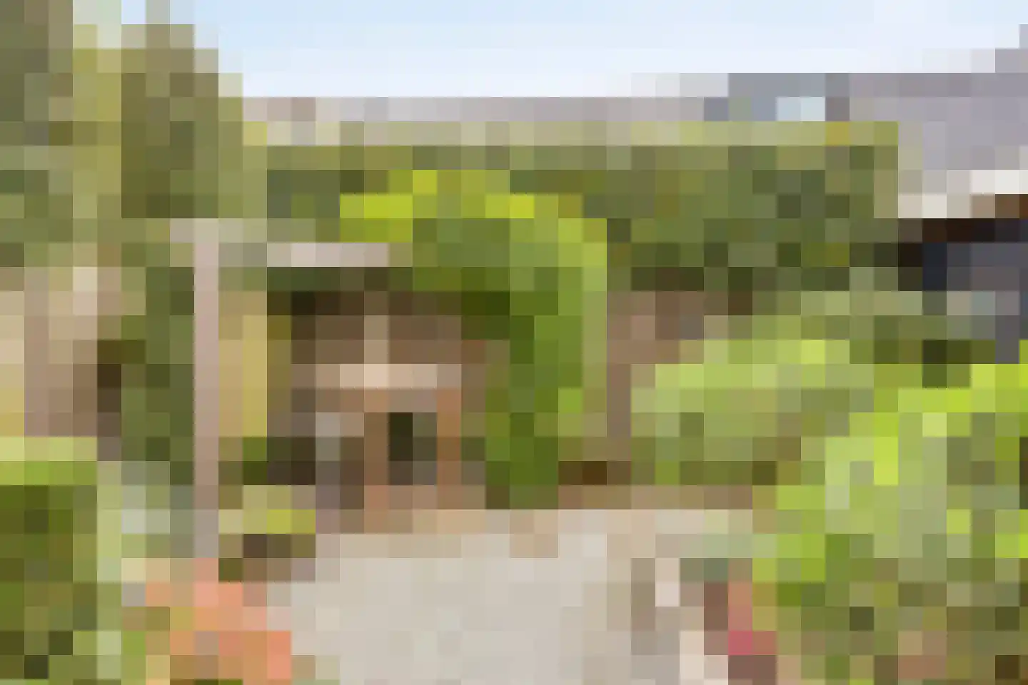 Zandhorst 11 Enter thumbnail 31