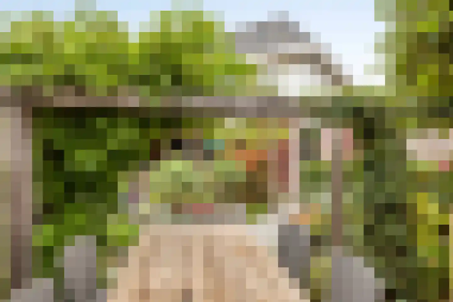 Zandhorst 11 Enter thumbnail 32