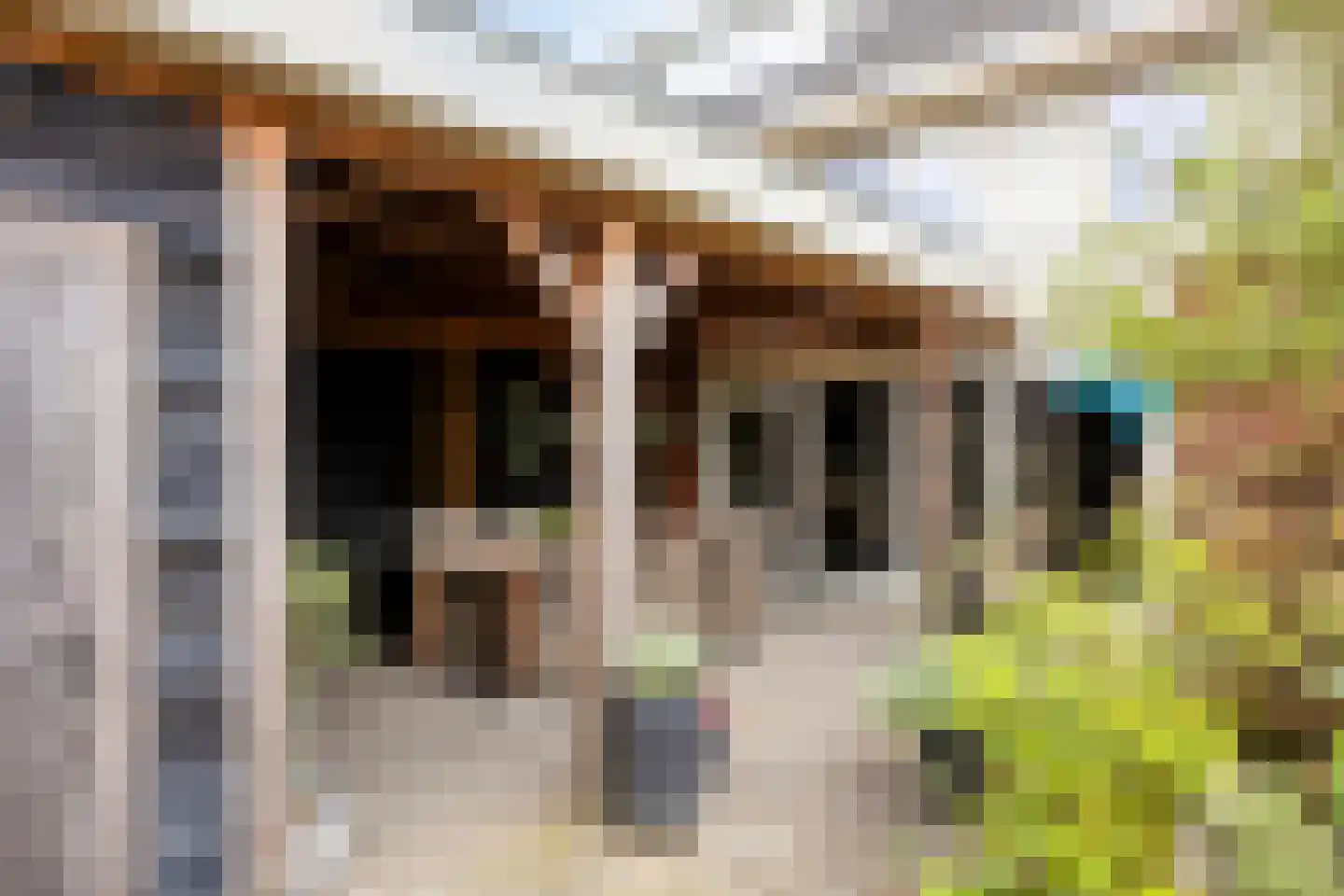 Zandhorst 11 Enter thumbnail 33