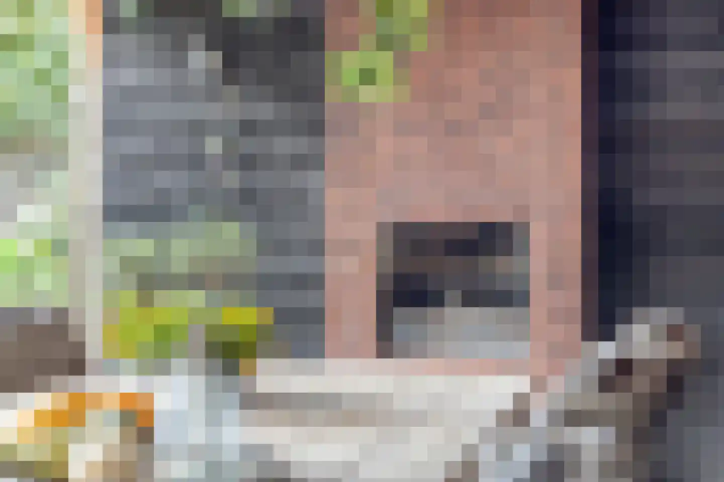 Zandhorst 11 Enter thumbnail 35